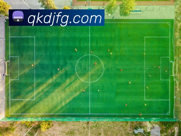 乐鱼官网app登录入口服务体系