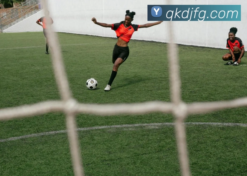 多媒体互动体验